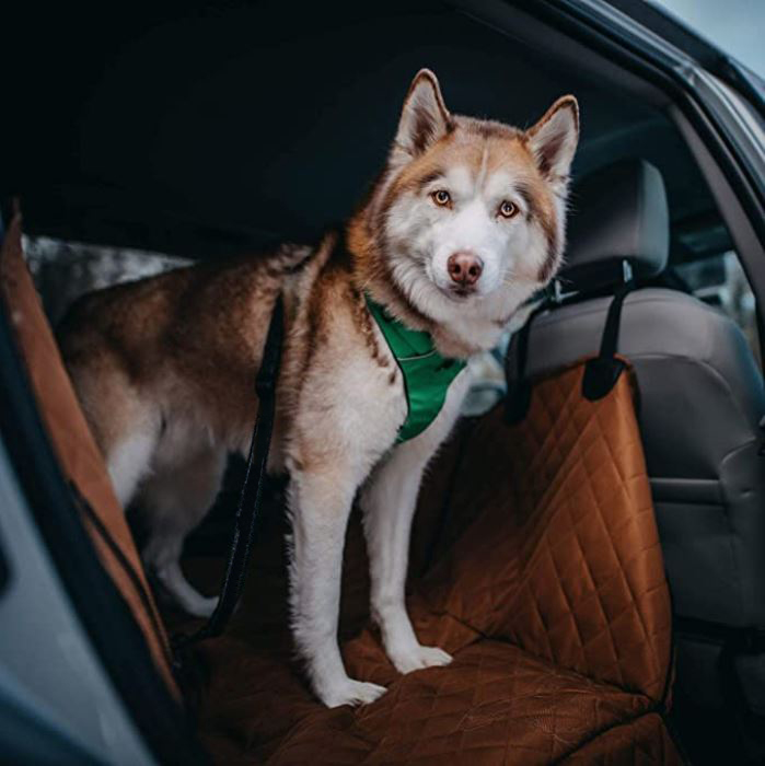 Schierl Tire & Service products for traveling pets in cars